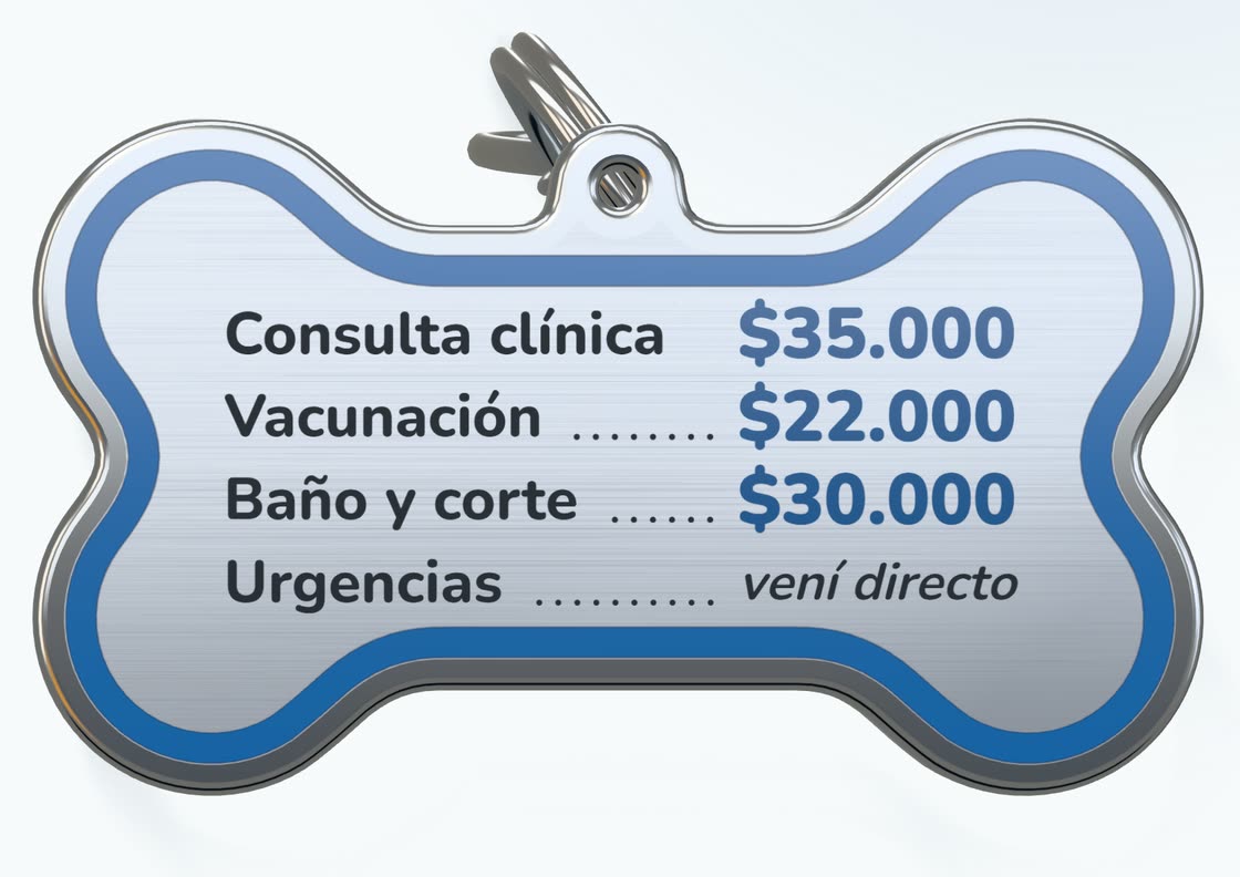 La chapita de collar en forma de hueso de la demo de veterinaria, con los precios grabados.